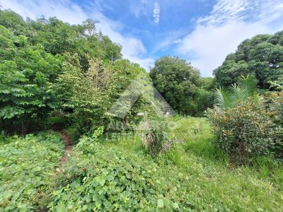 Terreno, 1 hectares - Foto 3