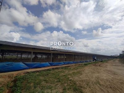 Apartamento, 4 quartos, 265 m² - Foto 4