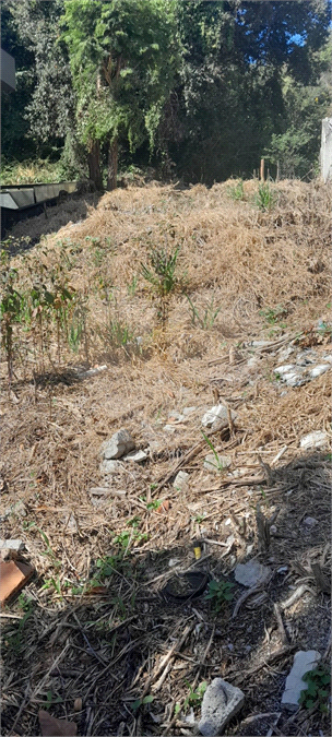 Terreno, 230 m² - Foto 3