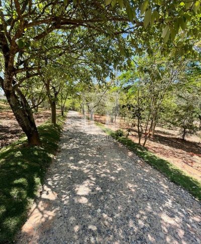 Terreno, 182 m² - Foto 3