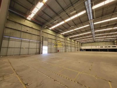 Depósito-Galpão, 6000 m² - Foto 5