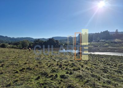 Fazenda, 58 hectares - Foto 1