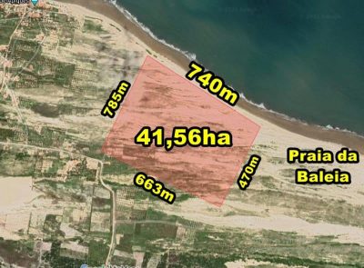 Terreno, 5000 m² - Foto 1