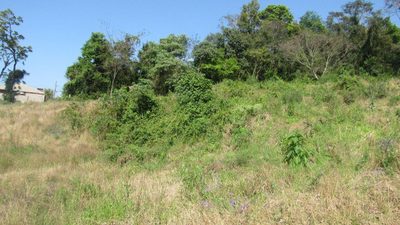 Terreno, 1283 m² - Foto 3