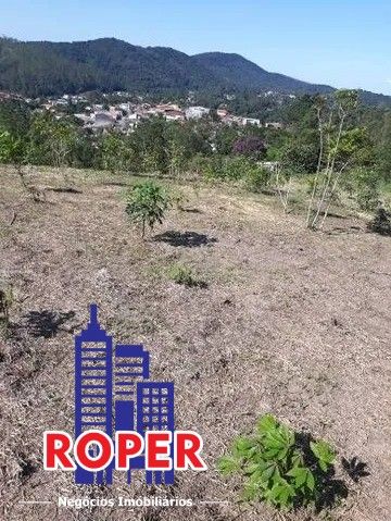Terreno, 3 hectares - Foto 3