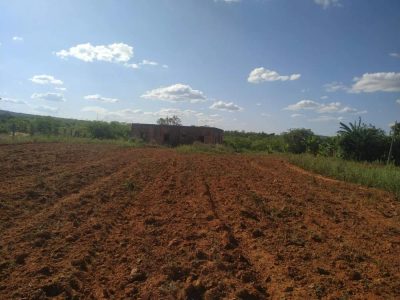 Fazenda - Foto 3