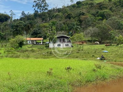 Sítio, 3 quartos, 13 hectares - Foto 2