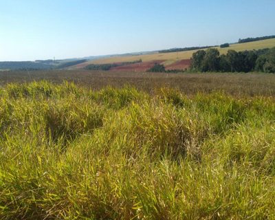 Fazenda, 623 m² - Foto 1
