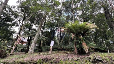 Loteamento e Condomínio, 1096 m² - Foto 2