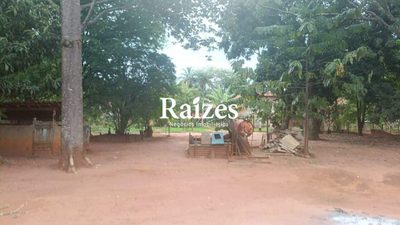 Sítio, 3 quartos, 5000 m² - Foto 2