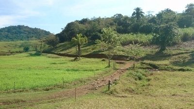 Terreno, 8 hectares - Foto 1