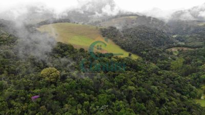 Fazenda, 87 hectares - Foto 4