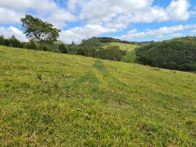 Sítio, 3 quartos, 51 hectares - Foto 4