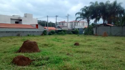 Terreno, 5 hectares - Foto 3