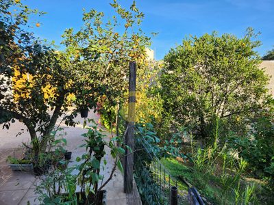 Terreno, 543 m² - Foto 5