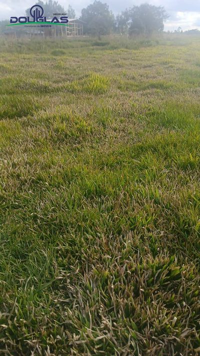 Terreno, 3 hectares - Foto 1