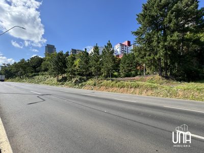 Terreno, 1766 m² - Foto 3