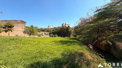 Terreno, 1350 m² - Foto 4