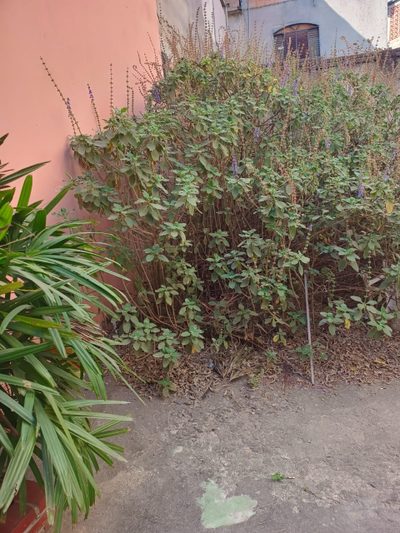 Casa, 2 quartos, 120 m² - Foto 5