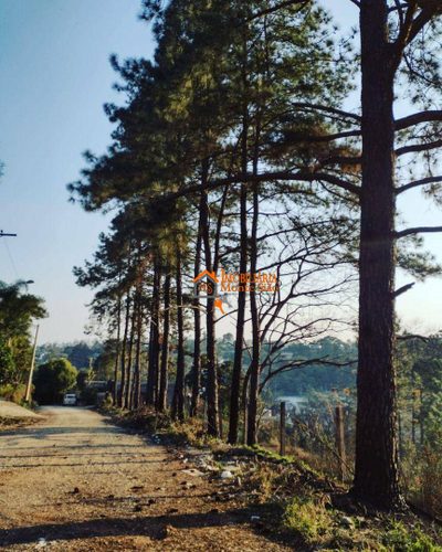 Terreno, 1000 m² - Foto 4