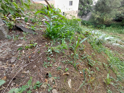 Terreno, 372 m² - Foto 5