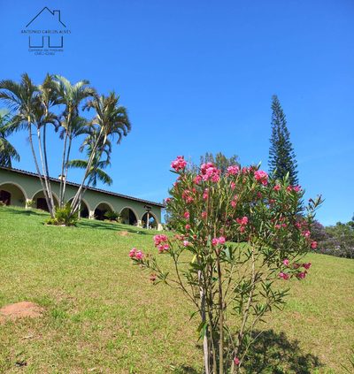 Sítio, 3 quartos, 37 hectares - Foto 2