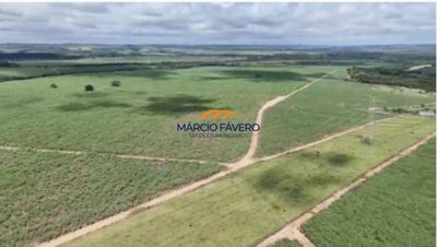 Fazenda, 242 hectares - Foto 5