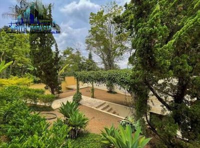 Casa, 4 quartos, 800 m² - Foto 4