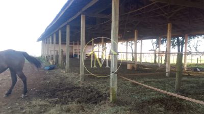 Fazenda, 17 hectares - Foto 5