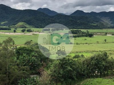 Fazenda, 4 quartos - Foto 5