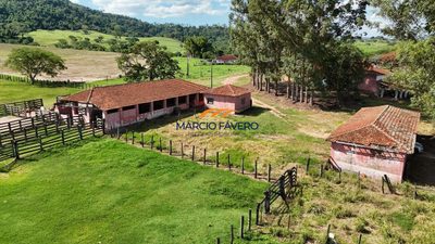 Fazenda, 653 hectares - Foto 4