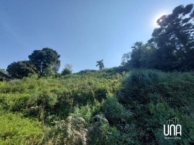 Terreno, 535 m² - Foto 4