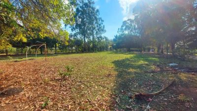 Terreno, 5 hectares - Foto 1
