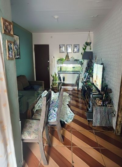 Apartamento, 2 quartos, 44 m² - Foto 3