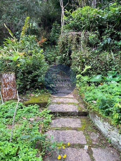 Sítio, 6 quartos, 14 hectares - Foto 4