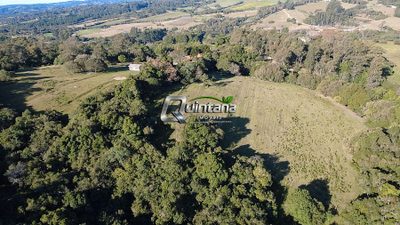 Sítio, 19 hectares - Foto 4