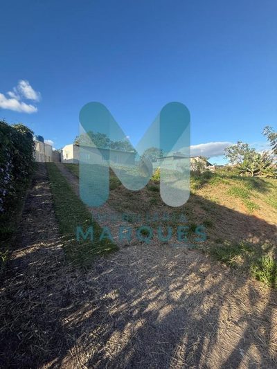 Chácara, 3 quartos, 1000 m² - Foto 2