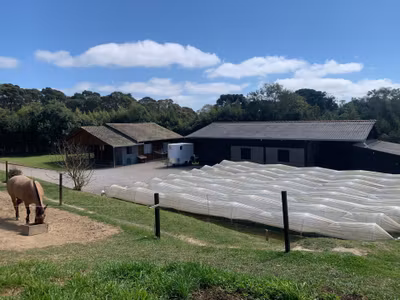 Chácara, 2 quartos, 4770 m² - Foto 5