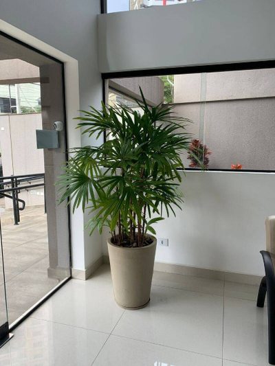 Sala-Conjunto, 34 m² - Foto 4