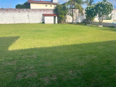Casa, 4 quartos, 250 m² - Foto 4