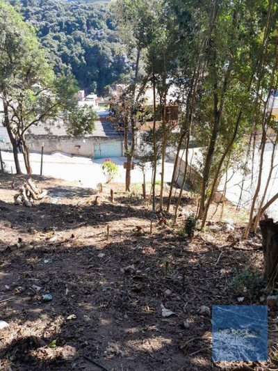 Loteamento e Condomínio, 284 m² - Foto 2