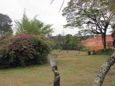 Terreno, 125 m² - Foto 3