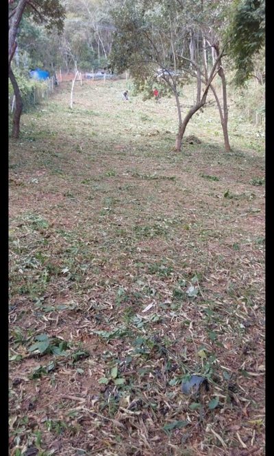 Terreno, 1050 m² - Foto 5