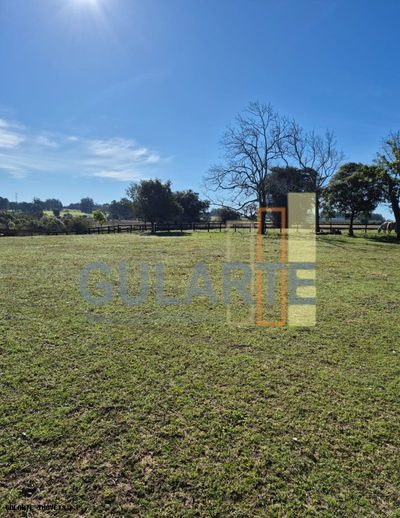 Fazenda, 98 hectares - Foto 4