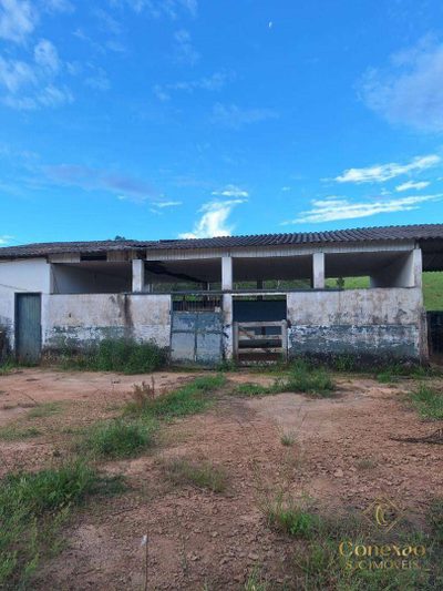 Fazenda, 97 hectares - Foto 3