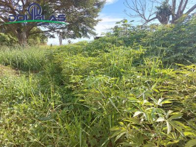 Terreno, 450 m² - Foto 5