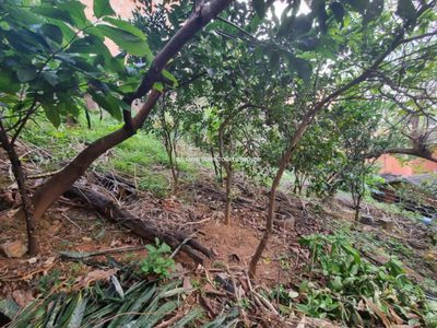 Terreno, 425 m² - Foto 4