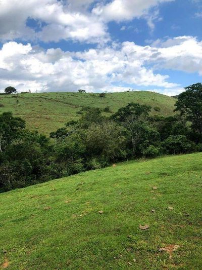 Terreno, 218 hectares - Foto 2