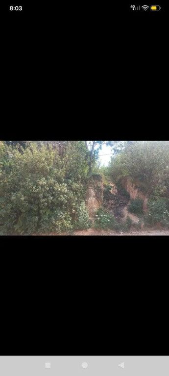 Terreno - Foto 3