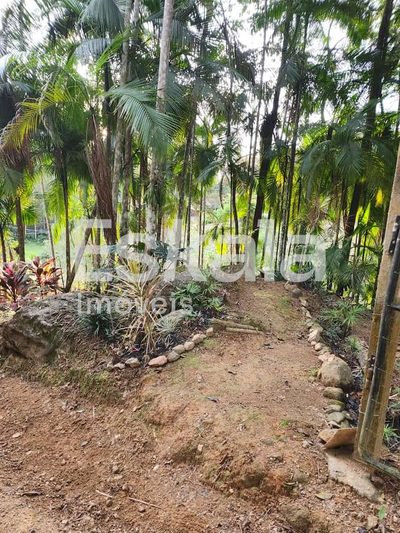 Terreno, 5 hectares - Foto 4
